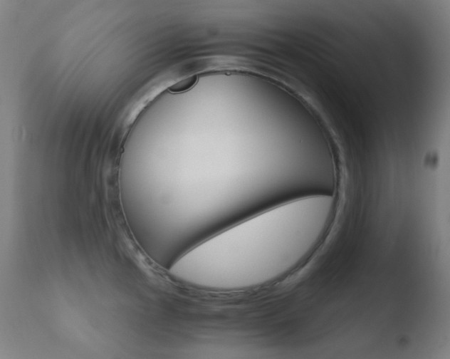 X0000110731145200906121305
