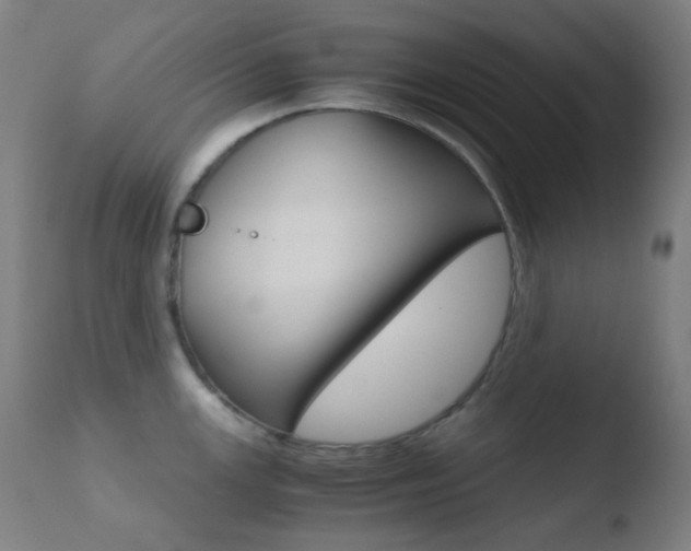 X0000110731147200906121305
