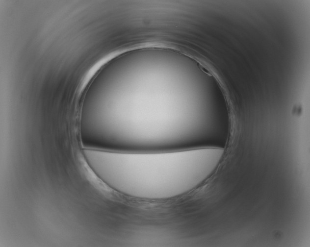 X0000110731148200906121305