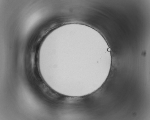 X0000110731150200906121305
