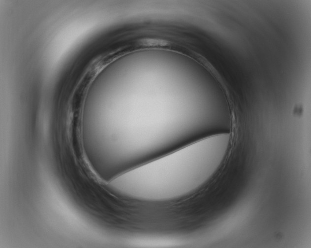 X0000110731151200906121305