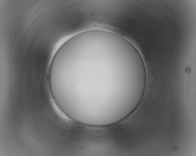 X0000110731152200906121305