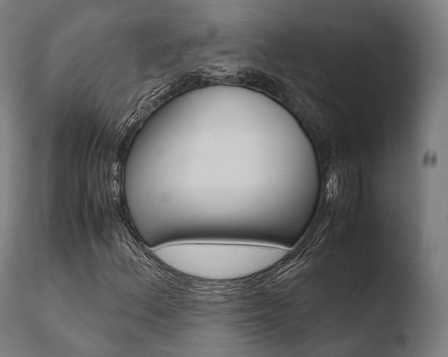 X0000110731156200906121304