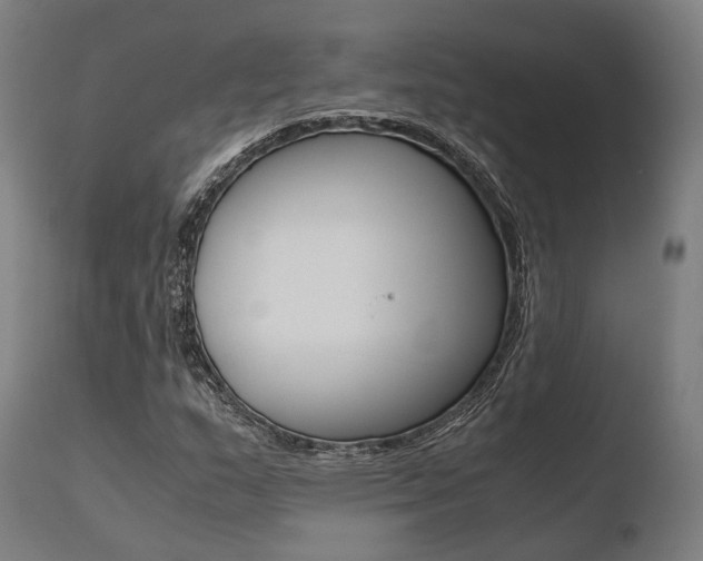 X0000110731159200906121304