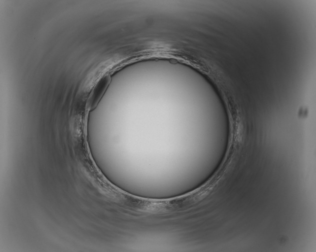 X0000110731161200906121304