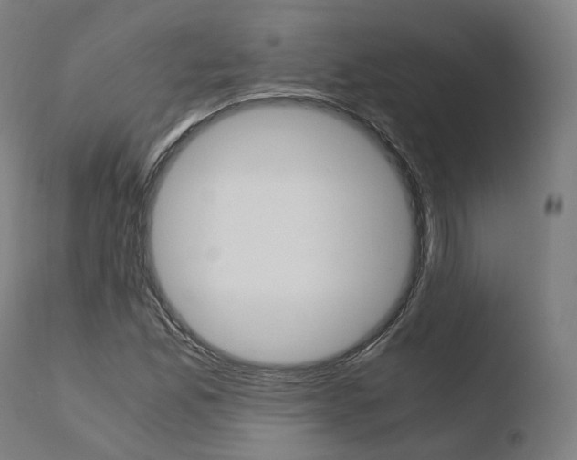X0000110731165200906121304