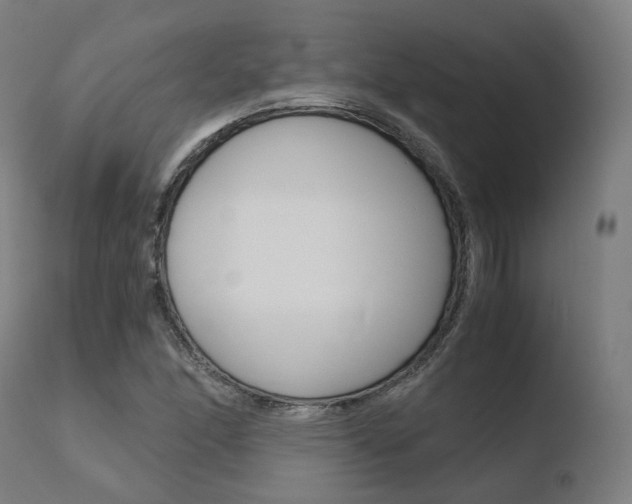 X0000110731166200906121304
