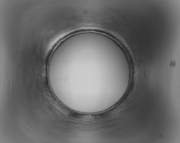 X0000110731167200906121304