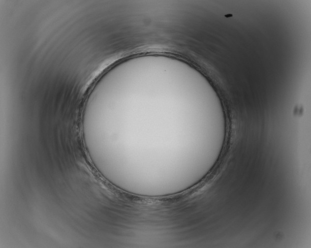 X0000110731170200906121304