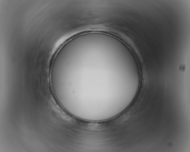 X0000110731176200906121304