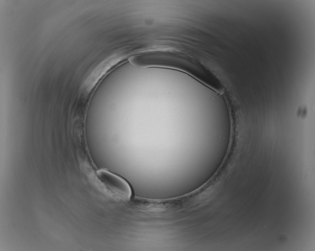X0000110731177200906121304