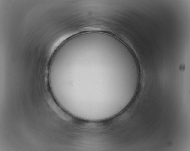 X0000110731179200906121304