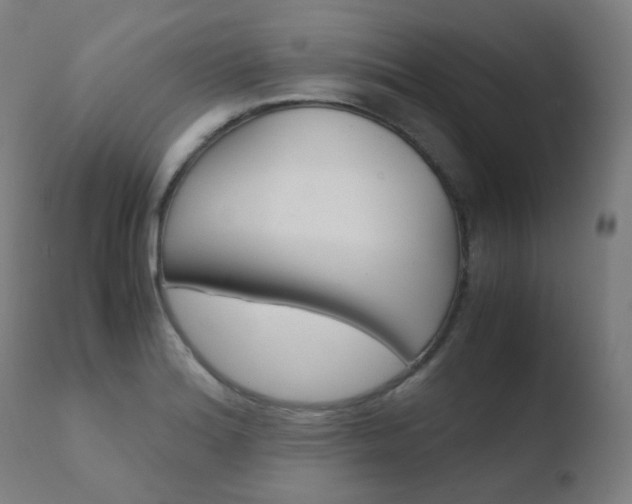 X0000110731180200906121304