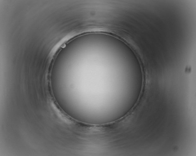X0000110731181200906121304