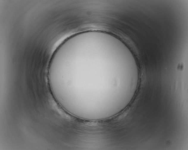 X0000110731182200906121304