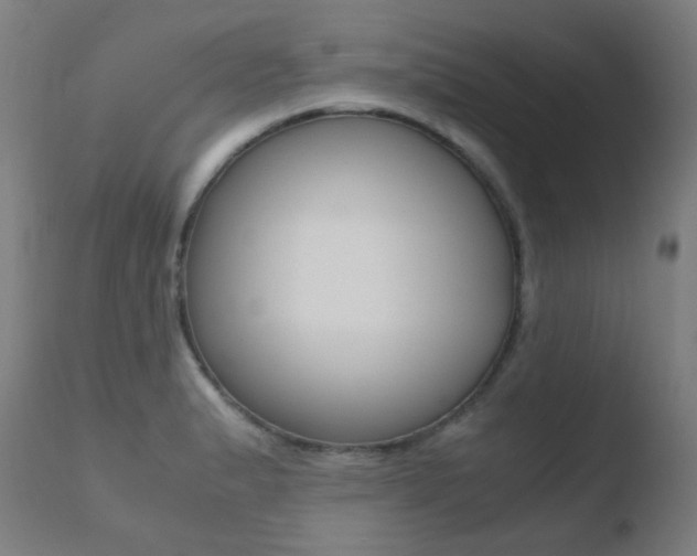 X0000110731183200906121304