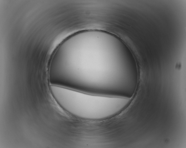 X0000110731184200906121303