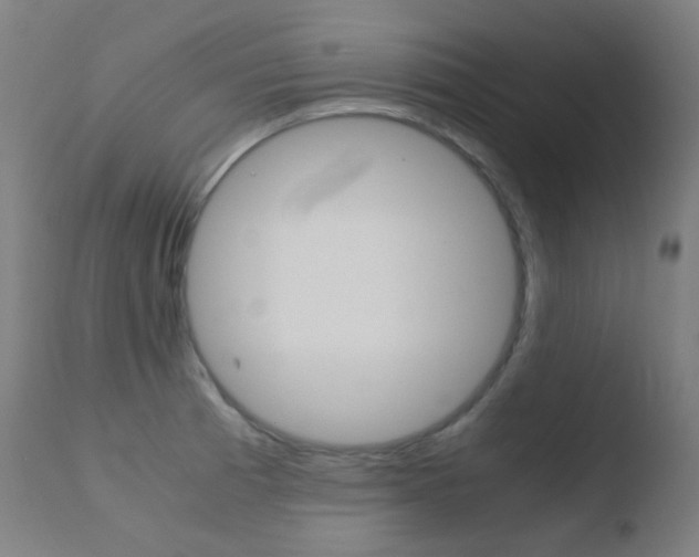X0000110731185200906121303