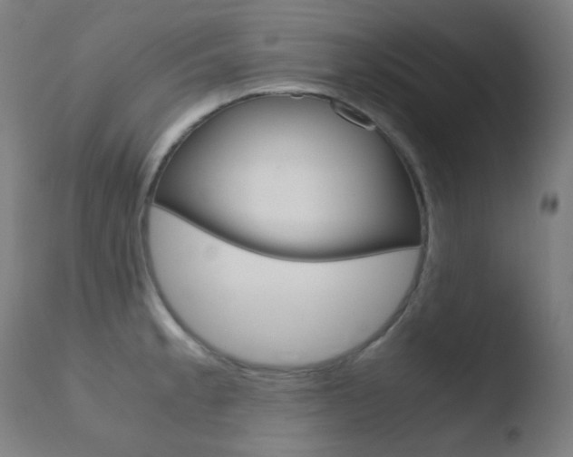 X0000110731189200906121303