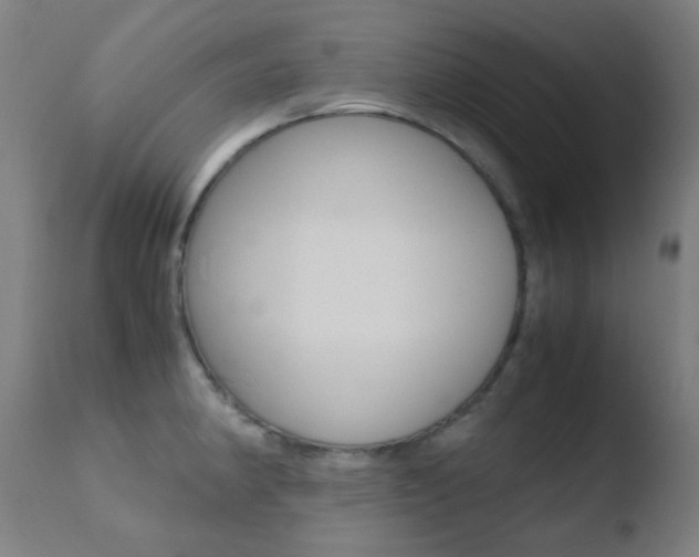 X0000110731190200906121303