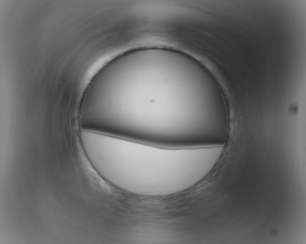 X0000110731191200906121303