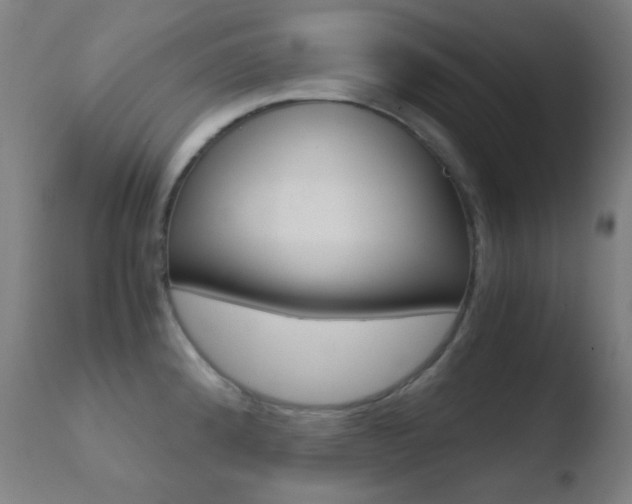 X0000110731192200906121303