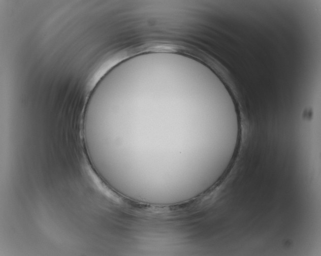 X0000110731194200906121303