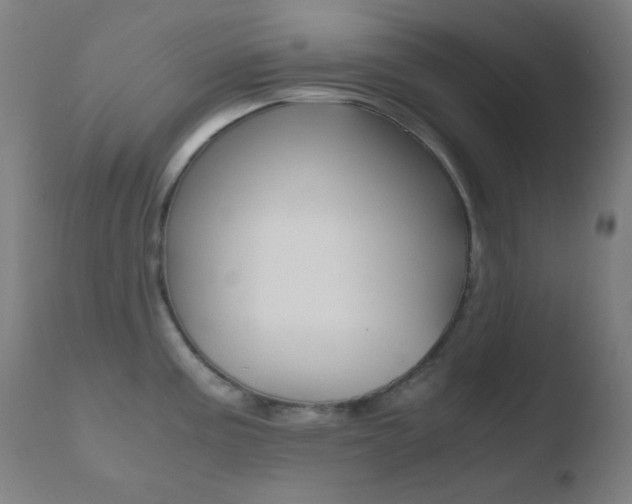 X0000110731195200906121303