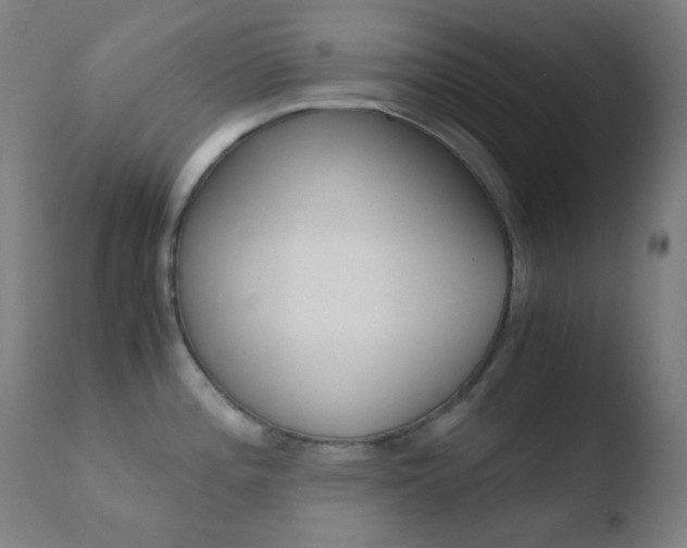 X0000110731196200906121303