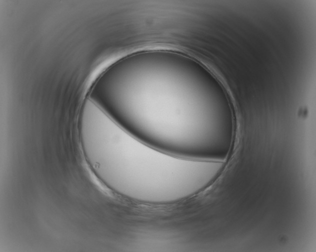 X0000110731197200906121303