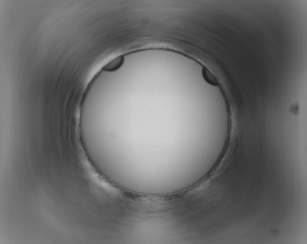 X0000110731198200906121303