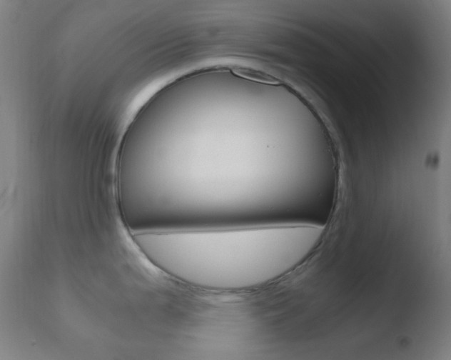 X0000110731199200906121303