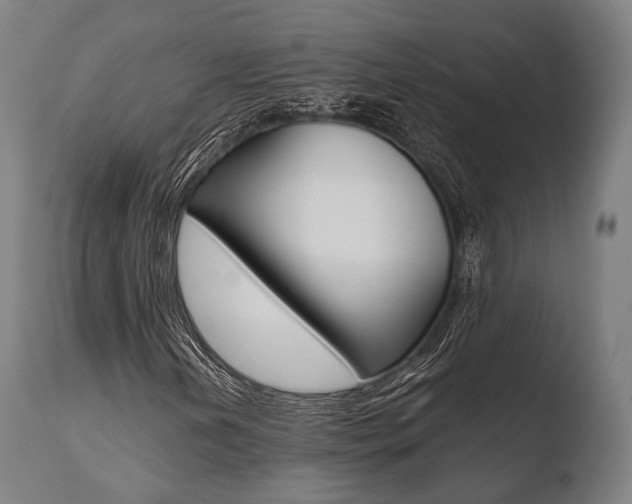 X0000110731202200906121302