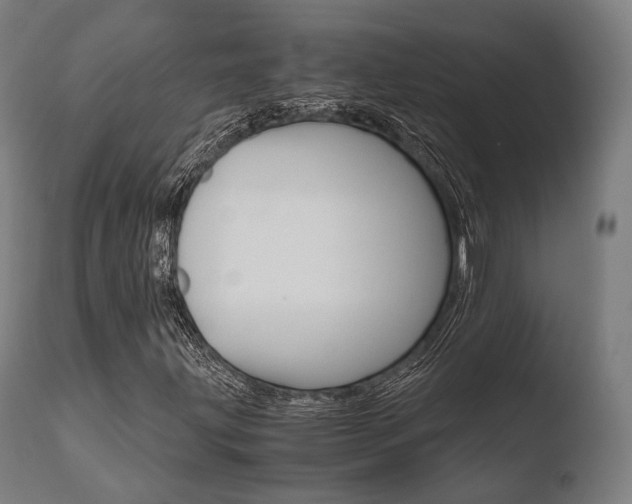 X0000110731203200906121302