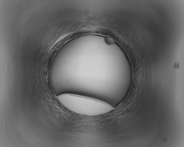 X0000110731206200906121302