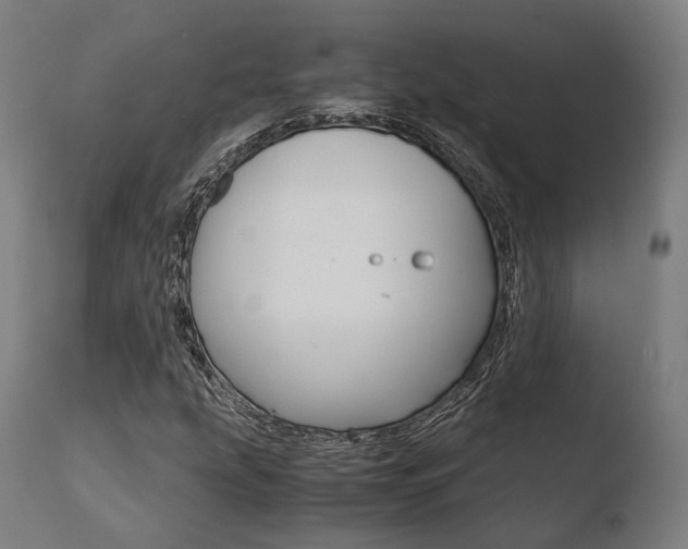 X0000110731207200906121302