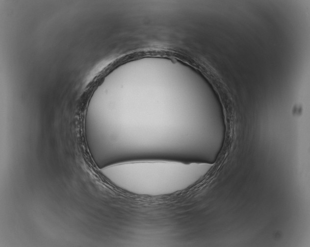 X0000110731208200906121302