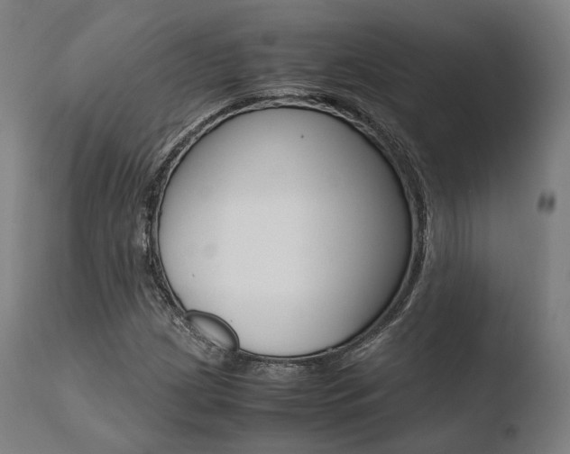 X0000110731209200906121302