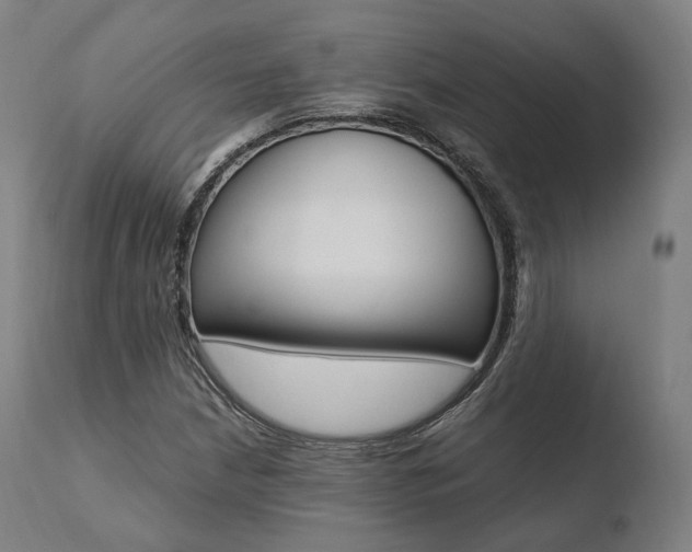 X0000110731210200906121302