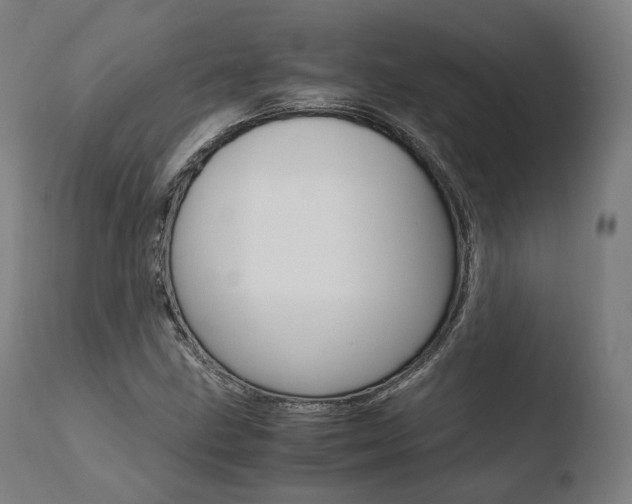 X0000110731211200906121302