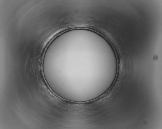 X0000110731212200906121302