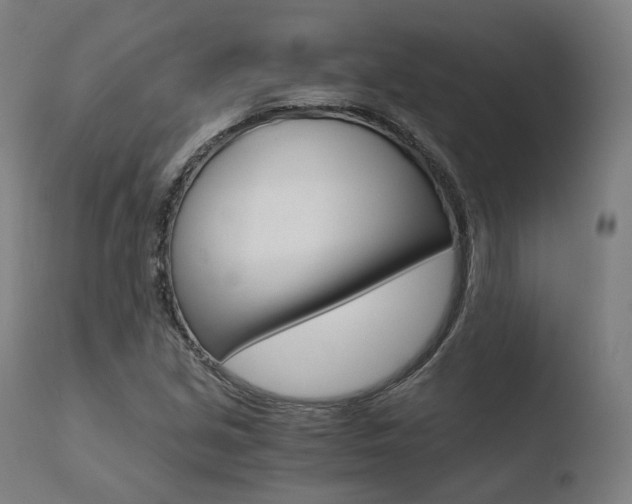 X0000110731213200906121302