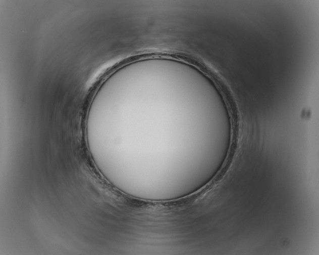 X0000110731214200906121302