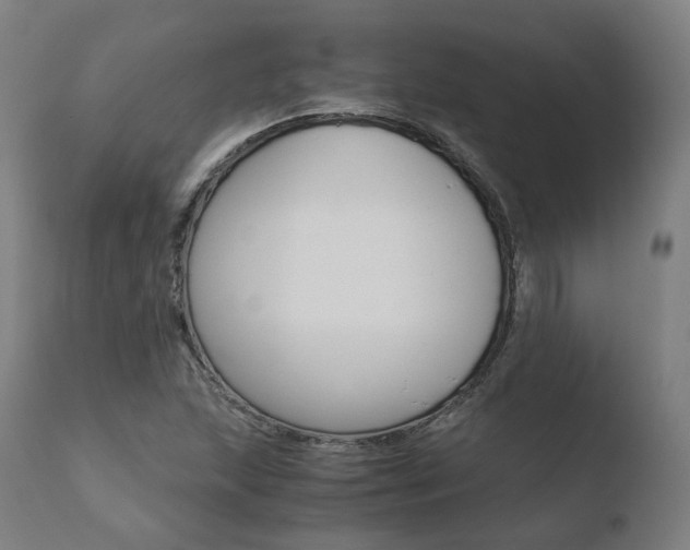 X0000110731215200906121302
