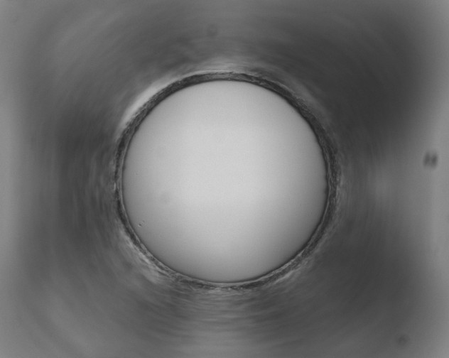 X0000110731216200906121302