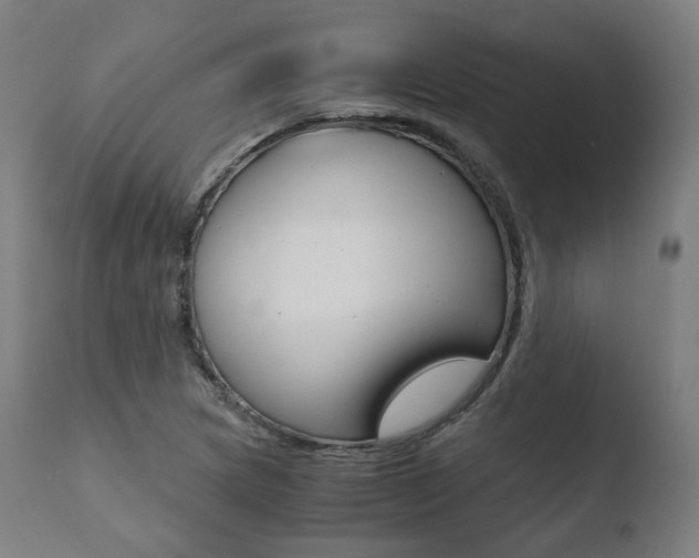 X0000110731217200906121303