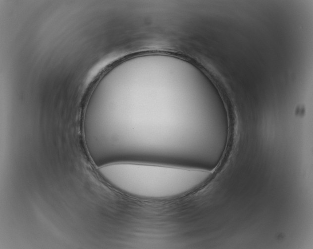 X0000110731222200906121303