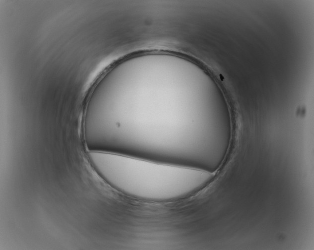 X0000110731224200906121303