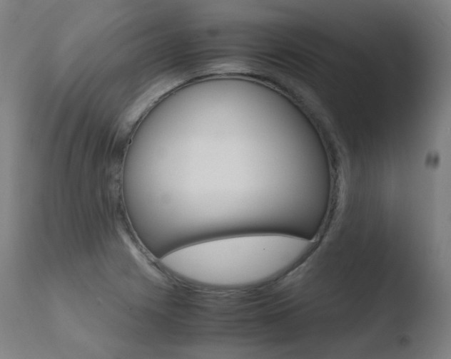 X0000110731225200906121303