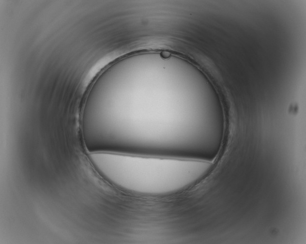 X0000110731226200906121303